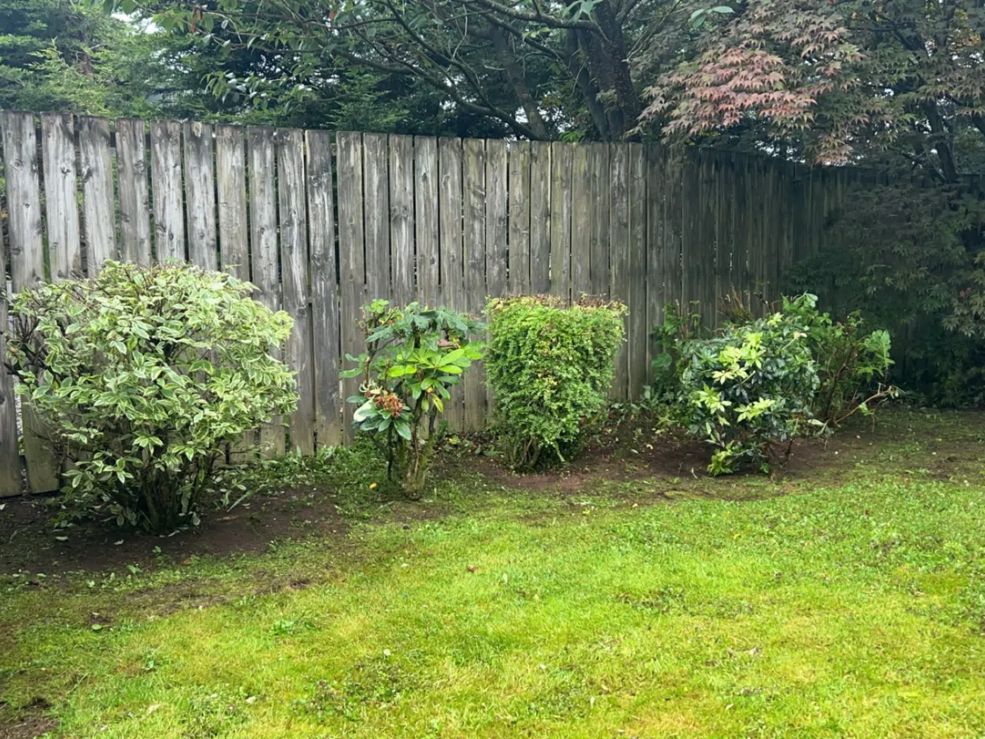 Garden Maintenance project photograph 1
