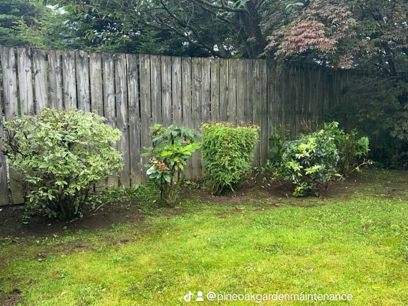 Garden Maintenance project photograph 3