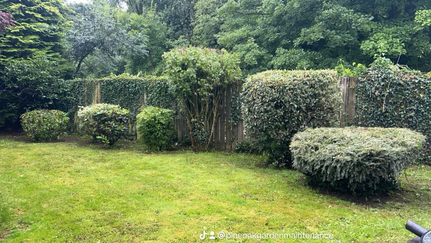 Garden Maintenance project photograph 4