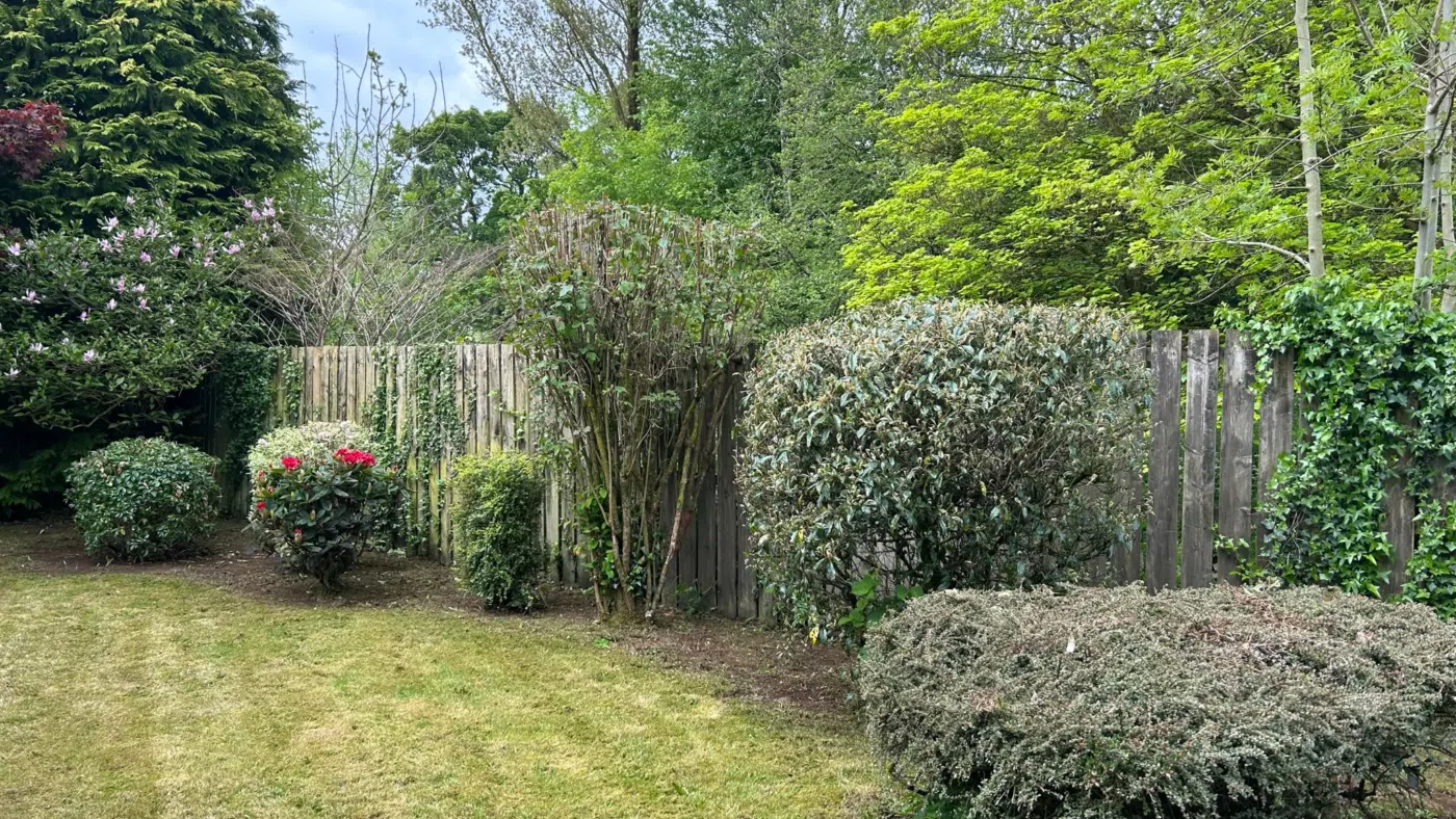 Garden Maintenance in Newtownabbey and Belfast