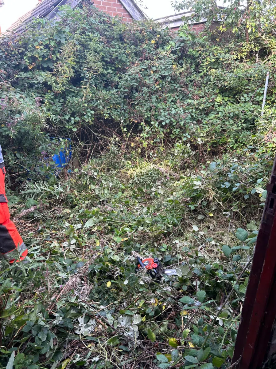 Garden Tidy-Ups project 1 serving Ballyduff