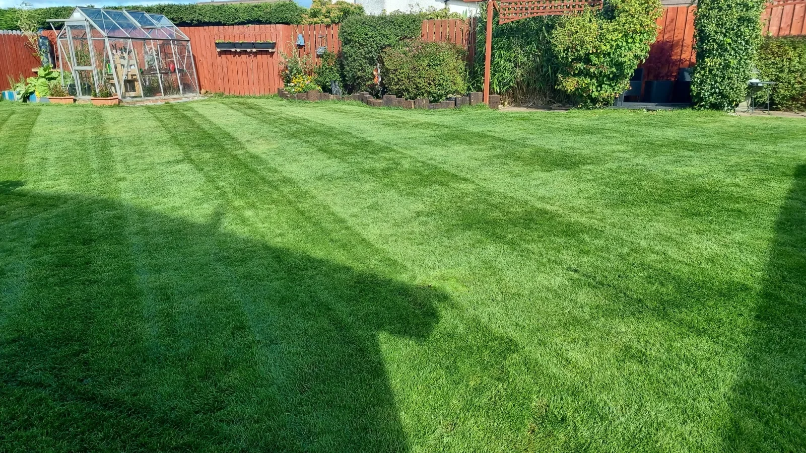 Freshly cut lawn serving customers in Templepatrick