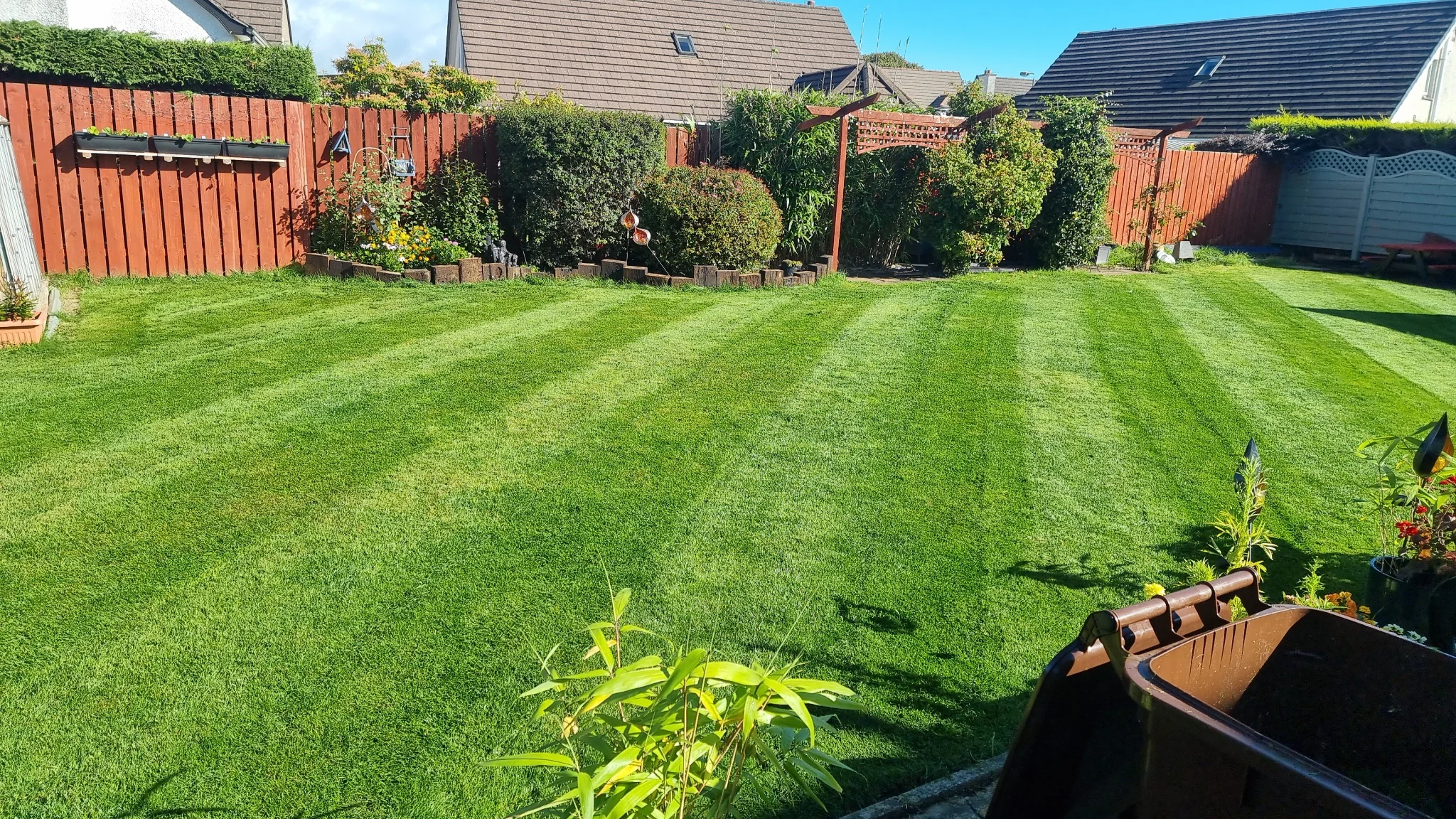 Large lawn after professional grass cutting