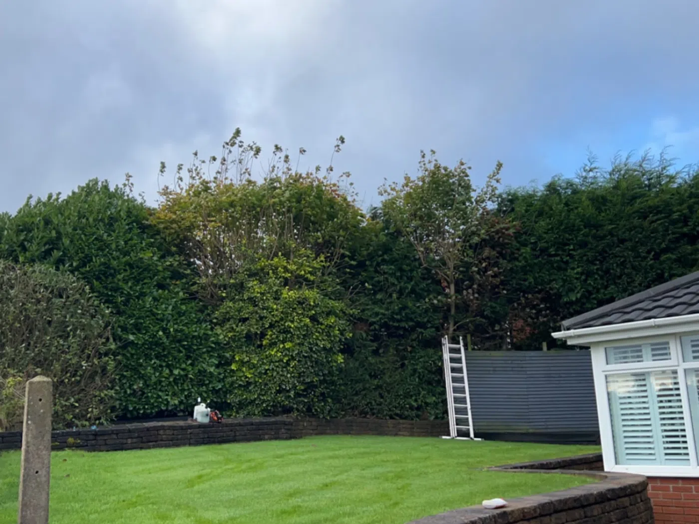 Hedge Cutting project photograph 1