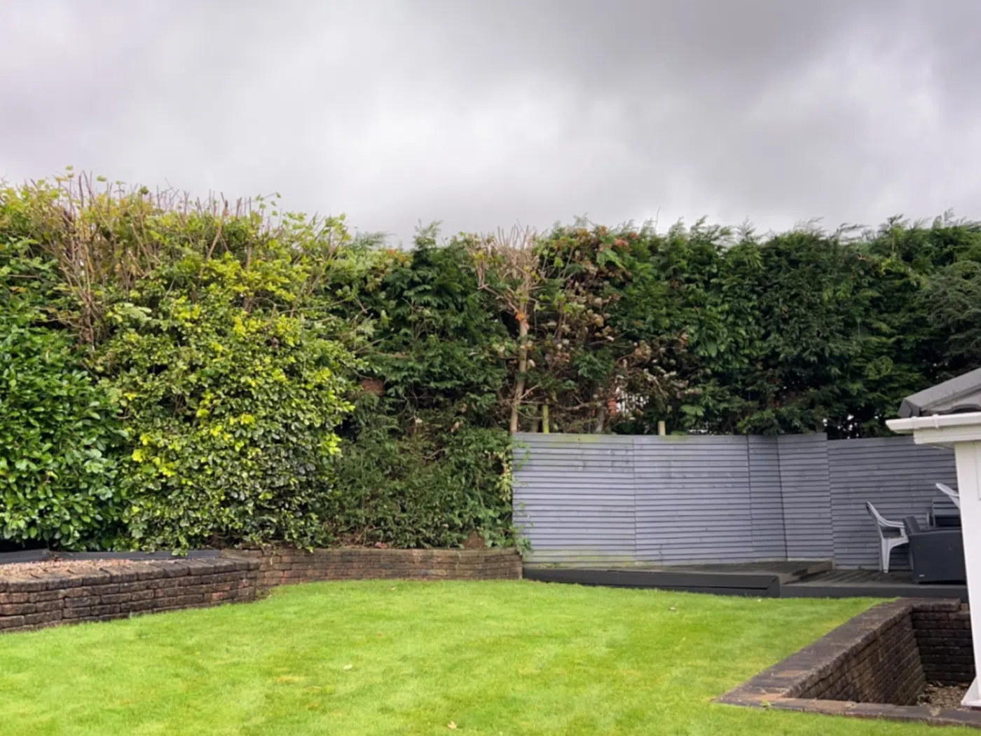 Recent hedge cutting work by Pine & Oak