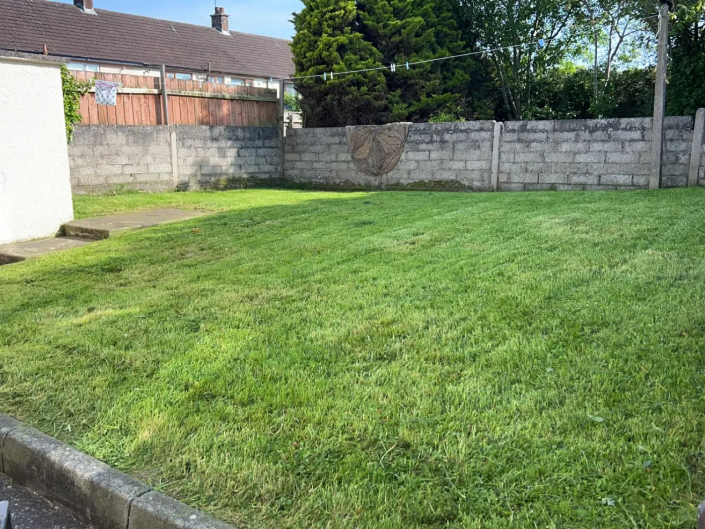 Garden after overgrown grass cutting