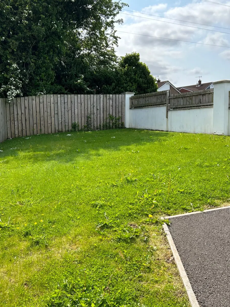 Overgrown grass before garden maintenance