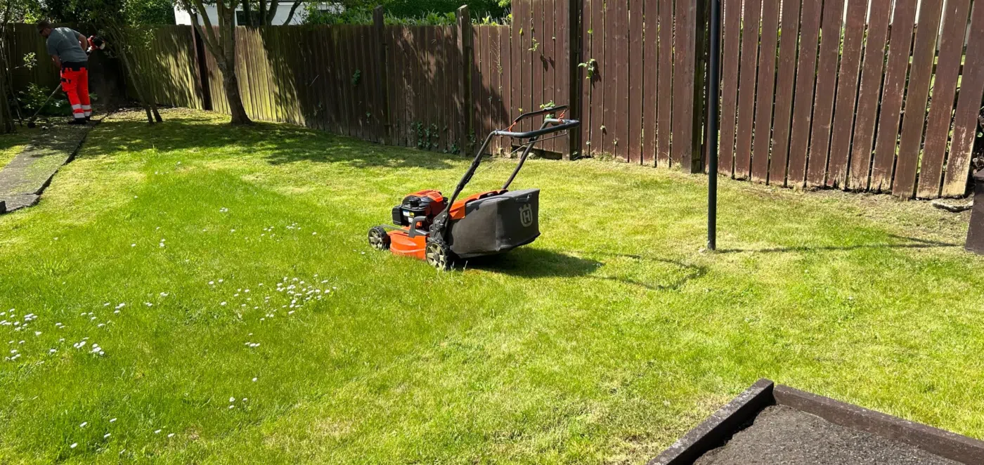 Lawn Scarification in Newtownabbey